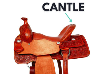 cantle on a saddle