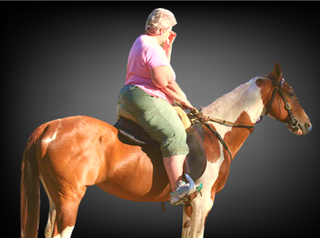best horse breed for heavy riders