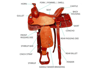 parts-of-a-horse-saddle