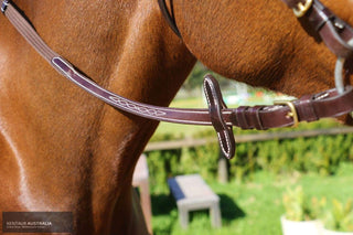 Kentaur 'Clarksville' Drop Noseband Bridle