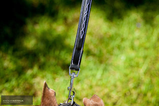 Kentaur 'Decorative Stitching' Dog Lead