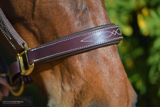 Kentaur Leather Halter with Stitching