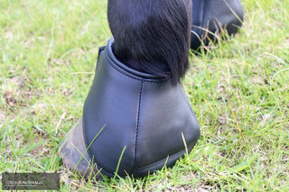Kentaur 'Premium Anatomic' Leather Bell Boots