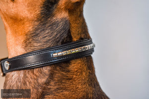 Kentaur 'Semi-Roll' Dog Collar