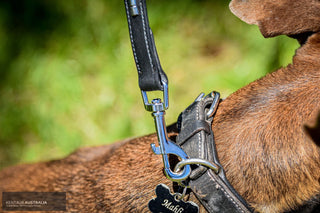 Kentaur 'Semi-Roll' Dog lead